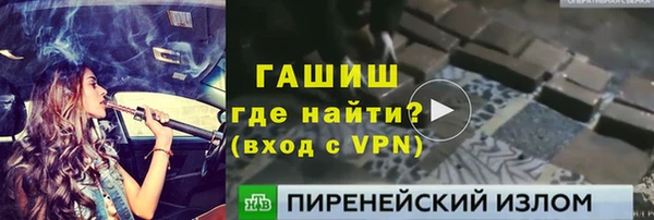прущие грибы Елизово