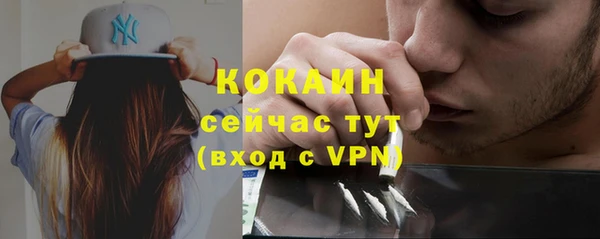 шишки Елабуга