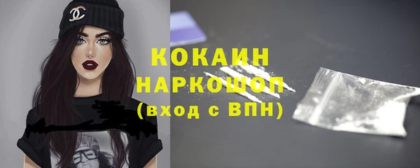 прущие грибы Елизово