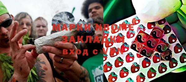 шишки Елабуга
