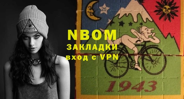 прущие грибы Елизово
