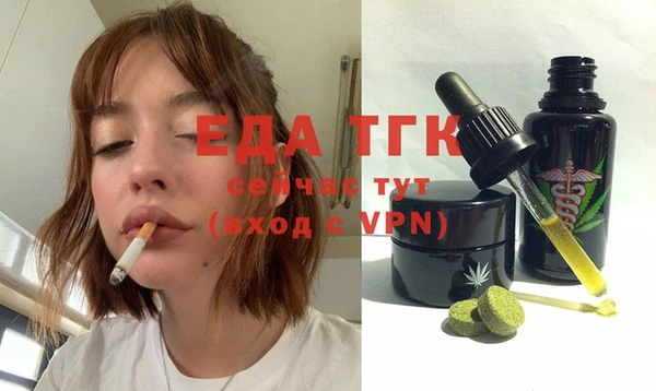 прущие грибы Елизово