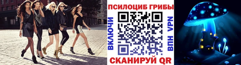 Псилоцибиновые грибы мицелий  Салаир 